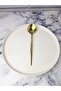 GOLD STAINLESS STEEL 6 PIECES ROUND FORM EAT SPOON - 5