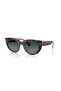 نظارات شمسية مستقطبة RB 2286 1413S3 49 DOREEN