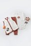 Baby 3 Piece Turtle Velvet Vest Set, Baby and Newborn Series - Csyk6026 - 2