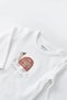 Baby 3 Piece Turtle Velvet Vest Set, Baby and Newborn Series - Csyk6026 - 4