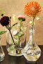 Vıljestark Decorative Glass Vase, 17 cm - 7