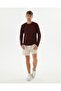 Chestnut Organic Cotton Crew Neck Long Sleeve T-Shirt - 3