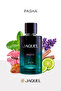 Pasha Erkek Parfümü 100ml - 4