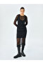 Crew Neck Long Sleeve Lined See-Through Tulle Midi Length Dress