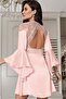 3200 Powder Color Satin Lace Embroidered Short 2-Piece Nightgown Set - 4