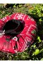 Cat Dog Neck Collar-Protective Elizabeth Collar Operation Neck Collar-Cat Neck Pillow New Year's Knspt(Penguenlr) - 7