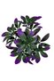 Artificial Flower White Diamond in a Pot Green-Purple Flora Vita "Flower of Life" - 5
