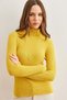 Women's Yellow Turtleneck Soft Textured Knitwear Sweater Kzk- 19000918 - 2