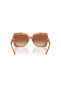 Sunglasses - 0Mk2213 Model, 39991357   Serial Number - 2