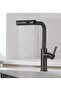 Black Spiral Czech Beer Faucet - Kitchen Sink, Baslik Sprinkler - 6