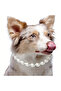 Large Pearl Dog Necklace, Pearl Beaded Dog Necklace