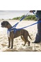 Handmade-Double Carabiner Dog Leash. Kancalar Are for Dogs between 15 and 40 Kilograms. - 6