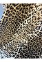 Leopard Patterned Elastic Sheet Set - 3