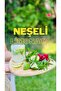 Ev Yapımı Limonata (Konsantre) 500 ml - 2