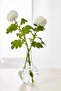 Vıljestark Decorative Glass Vase, 17 cm - 2