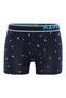 Retroshorts Trunks