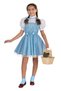 Dorothy Costume| The Wizard of Oz Dorothy Costume - 2