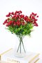 New Year's Ornament Foam 5Pcs Kokina Pomegranate Bunch Red - 4