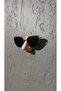 Wall Mounted Glasses Stand Bedside Glasses Stand