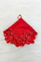 Red Bride Groom Handkerchief, Halay Handkerchief, Sequin Beaded, Wedding Henna Circumcision Promise Engagement - 3