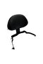 Forza Backrest Sissy Bar Forza 250 - 3
