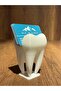 Dentist Tabletop Dental Business Card Holder