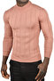 Men's Dusty Rose Slim Fit Lycra Non Pilling Half Fisherman Stripe Knitwear Half Throat - 2