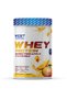 Whey Protein Powder 540 g Mango & Pineapple Flavored