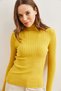 Women's Yellow Turtleneck Soft Textured Knitwear Sweater Kzk- 19000918 - 6