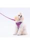 Hearts Leash Cat Dog Transport & Travel Strap Dog Extension Leash-2Cm - 3