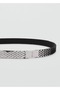 Thin Metal Belt