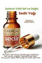 10ml Pure Cedar Tree Oil Natural 100% Pure Essential Oil Cedrus Atlantica - 2
