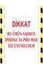 Transparent Silicone Case with Card Holder Compatible with iPhone 16 Pro Max - 2