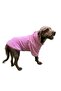 Pink Premium Plush Medium Breed Dog Sweatshirt (Suitable for dogs from 8 kg to 20 kg) - 4