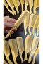 Boxwood Comb - 2