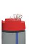 430 Cc Patterned Flask with Straw-pp-dinosaur - 2
