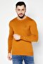 Men Crew Neck Long Sleeve Embroidered Logo Sweater, Brown