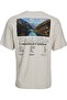 Jack&Jones Jorearth Planet Crew Neck T-Shirt - Mcbeige - 2
