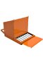 10 Chicken Inside Mounts Inclined Chicken Foil - Direction Convertible Orange - 4