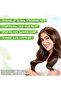 Rosemary Anti-Hairfall Shampoo 250 ml - 4