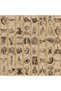 56pcs 56pcs Anatomy and Physiology The Body Structure Stickers PVC Waterproof Toy Graffiti Skeleton