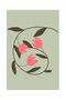هاريكابيريف | مجموعة أسماك صغيرة باللون الأخضر والوردي الناعم | طاولة زجاجية مؤطرة 3 عمودية - 4