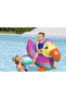 Dandy Dodo Ride On Float - 6