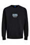 Crew Neck Raised and Printed Men's Sweatshirt
