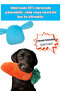 Plush Dog Toy Set 2 Pcs - Plush Rabbit and Plush Carrot Sounding Dog Toys - 8