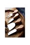 Luxury Bamboo Handle Set of 4 Steel Cheese Knives - 2