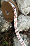 New Year Happy New Year, Santa Claus, Deer Pattern Print Ribbon (20mm Width - 10Mt Length) - 6