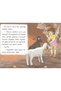 Set of 10 Stories for Class 2 Reading 2 (32 Pages) - 5
