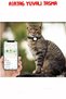 Airtag Compatible Cat and Dog Collar Locked Safety Apparatus - 4