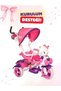 Hello Kitty Kurulum Desteği Çocuk/ Bisikleti
